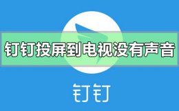 钉钉投屏到电视没有声音 钉钉投屏到电视没有声音怎么回事