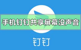 手机钉钉视频会议共享屏幕没有声音 手机钉钉共享屏幕播放的视频没有声音