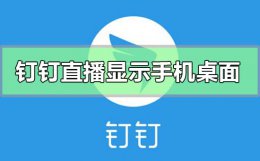 钉钉直播功能怎么显示手机桌面 钉钉手机直播怎么显示自己手机的内容