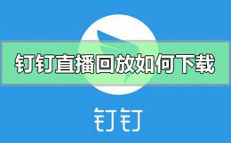 钉钉直播回放如何下载 钉钉的直播回放可以下载下来吗