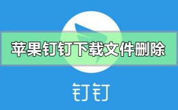 苹果手机钉钉下载的文件怎么删除 苹果钉钉下载的文件保存在手机哪里