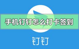 手机钉钉怎么打卡签到 钉钉app怎么打卡签到