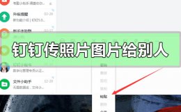 钉钉怎么发送照片 钉钉怎么传照片图片给别人