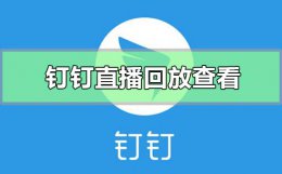 钉钉里面直播回放在哪 钉钉直播回放在哪里怎么看