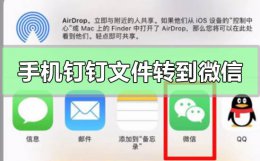 手机钉钉文件怎么转到微信 怎么把钉钉文件转到微信里