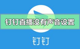 钉钉直播没有声音怎么设置 联想电脑钉钉直播没有声音怎么设置