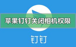 钉钉怎么取消相机使用权限 苹果钉钉怎么关闭摄像头相机权限