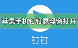 苹果手机怎么设置钉钉悬浮窗口 苹果手机钉钉悬浮窗如何设置打开