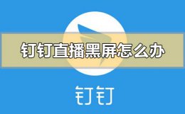钉钉直播黑屏怎么办 钉钉直播看不到画面黑屏