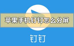 苹果手机钉钉怎么分屏 苹果手机钉钉怎么分屏在其他软件