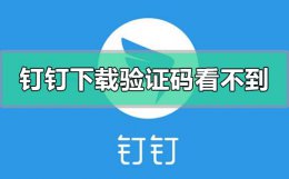 钉钉收不到验证码怎么办 钉钉下载app验证码看不到刷不出来怎么办