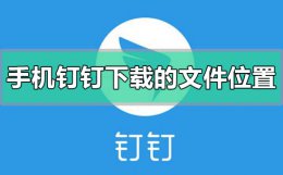 手机钉钉下载的文件在哪里 手机钉钉下载文件都存哪里了
