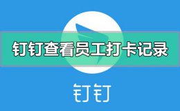 钉钉怎么查看员工打卡记录 钉钉打卡管理员怎么看员工打卡记录
