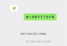 微信拍一拍怎么用后缀搞笑 安卓微信拍一拍搞笑后缀大全