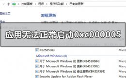 应用程序无法正常启动0xc0000056 应用程序无法正常启动0xc000005怎么解决