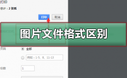 图片文件的格式有哪些 图片文件格式的区别是什么