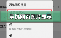 手机网页无法显示图片 手机网页图片显示不出来