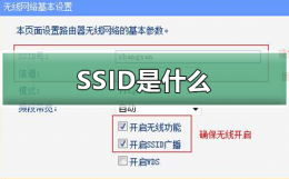 SSID是什么 ssid是什么在哪里找