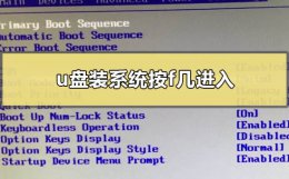 u盘装系统按f几进入 u盘装系统按f几进入图片