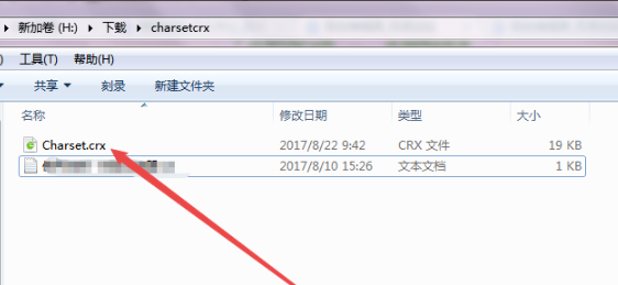 谷歌浏览器55版本查看编码教程介绍