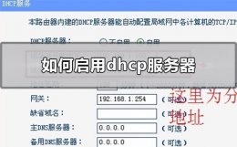 如何启用dhcp服务器 怎样启用dhcp服务器