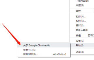 谷歌浏览器版本查看教程