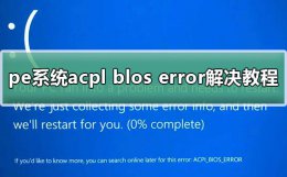 pe acpi bios error pe系统acpl blos error解决方法