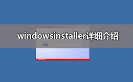 windowsinstaller详细介绍 windowsinstaller是什么意思