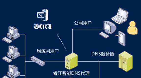 最详细的DNS概念及作用介绍