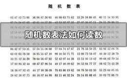 随机数表法如何读数 随机数表法如何读数重复
