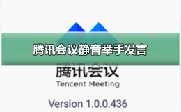 腾讯会议怎样全体静音 腾讯会议静音怎么举手发言
