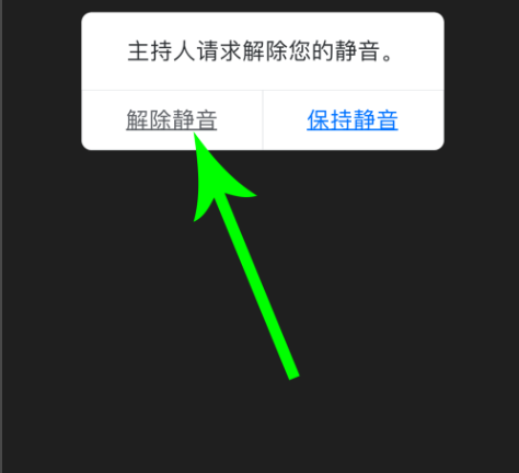 腾讯会议静音怎么举手发言