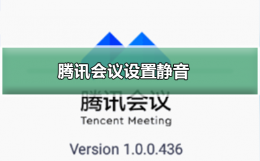 腾讯会议如何设置静音 腾讯会议设置静音的方法教程