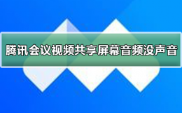 腾讯会议屏幕共享视频没声音 腾讯会议视频共享屏幕音频没声音