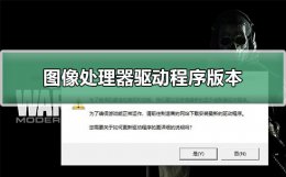 使命召唤17显卡驱动 使命召唤16图像处理器驱动程序版本