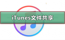 iTunes找不到文件共享 手机itunes共享的文件在哪里打开