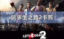 求生之路2卡屏死机 win10玩求生之路2卡死死机怎么解决