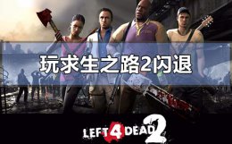 求生之路2进游戏闪退 win10玩求生之路2突然电脑闪退怎么办