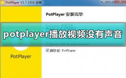 potplayer模拟tv没声音 potplayer播放视频没有声音的详细方法解决教程