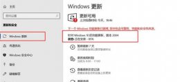 win1020H2正式推送时间 windows1020h1公测时间介绍