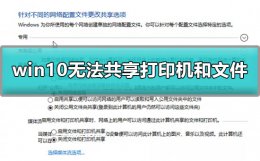 win10共享不了打印机 win10无法共享打印机和文件怎么办