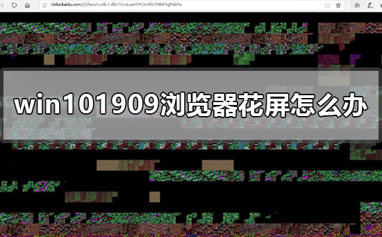 win101909更新后浏览器上网经常花屏怎么办