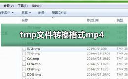 tmp文件如何转换格式mp4 tmp文件如何转换格式word