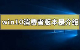 win10消费者版本是什么意思 win10普通用户版和消费者版