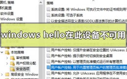 windows hello不支持 如何解决windows hello在此设备上不可用
