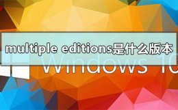 multiple editions是什么版本 multiple editions什么意思中文