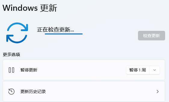 消逝的光芒win11闪退解决教程