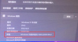 win11功能体验包介绍 windows11体验版