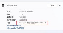 windows11体验版 win11功能体验包是正式版吗介绍