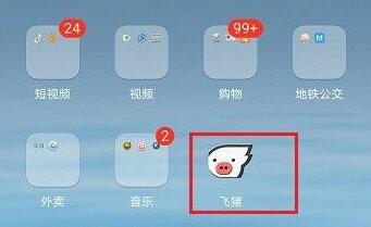 在飞猪定的机票领取方法